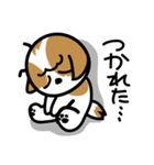 シーズー犬かぼちゃん（個別スタンプ：32）