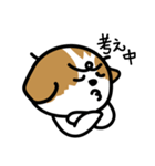 シーズー犬かぼちゃん（個別スタンプ：34）