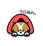 シーズー犬かぼちゃん（個別スタンプ：38）