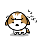 シーズー犬かぼちゃん（個別スタンプ：39）