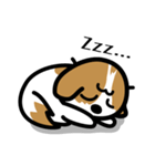 シーズー犬かぼちゃん（個別スタンプ：40）