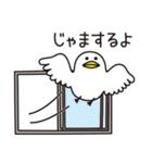 しろたさんの鳥（個別スタンプ：20）