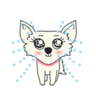 Snowii puppy dog [ENG]（個別スタンプ：11）