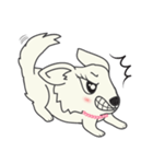 Snowii puppy dog [ENG]（個別スタンプ：16）