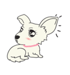 Snowii puppy dog [ENG]（個別スタンプ：21）