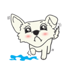 Snowii puppy dog [ENG]（個別スタンプ：30）