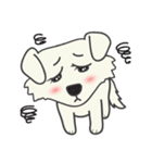 Snowii puppy dog [ENG]（個別スタンプ：39）