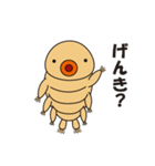 クマムシのくまたん（個別スタンプ：1）