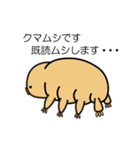 クマムシのくまたん（個別スタンプ：5）
