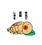 クマムシのくまたん（個別スタンプ：10）