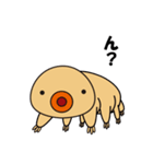 クマムシのくまたん（個別スタンプ：37）