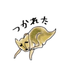 躍動する動物たち（個別スタンプ：15）