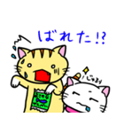 にゃんにゃんず（個別スタンプ：2）
