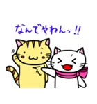にゃんにゃんず（個別スタンプ：4）