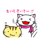 にゃんにゃんず（個別スタンプ：6）