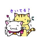 にゃんにゃんず（個別スタンプ：7）