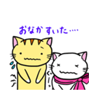 にゃんにゃんず（個別スタンプ：8）