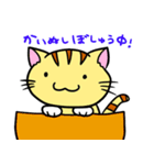 にゃんにゃんず（個別スタンプ：13）