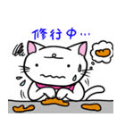 にゃんにゃんず（個別スタンプ：19）