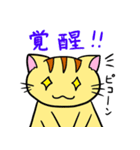 にゃんにゃんず（個別スタンプ：35）