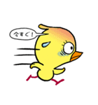 ひよこのひーちゃん（個別スタンプ：10）