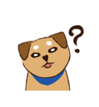 ミックス犬ライくん（個別スタンプ：7）