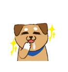 ミックス犬ライくん（個別スタンプ：8）