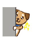 ミックス犬ライくん（個別スタンプ：10）