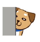 ミックス犬ライくん（個別スタンプ：11）