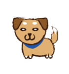 ミックス犬ライくん（個別スタンプ：13）