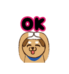 ミックス犬ライくん（個別スタンプ：14）