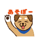 ミックス犬ライくん（個別スタンプ：16）