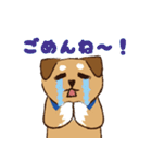 ミックス犬ライくん（個別スタンプ：17）