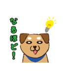 ミックス犬ライくん（個別スタンプ：23）