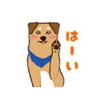 ミックス犬ライくん（個別スタンプ：32）