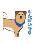 ミックス犬ライくん（個別スタンプ：33）
