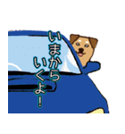 ミックス犬ライくん（個別スタンプ：36）
