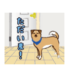 ミックス犬ライくん（個別スタンプ：38）