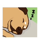 ミックス犬ライくん（個別スタンプ：40）
