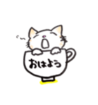 コップねこ（個別スタンプ：1）