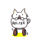 コップねこ（個別スタンプ：4）