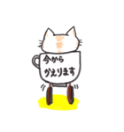 コップねこ（個別スタンプ：5）