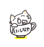 コップねこ（個別スタンプ：21）