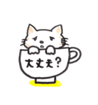 コップねこ（個別スタンプ：27）