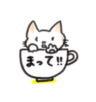 コップねこ（個別スタンプ：30）