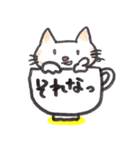 コップねこ（個別スタンプ：31）