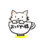 コップねこ（個別スタンプ：37）