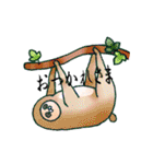 同じ顔した動物サン。（個別スタンプ：7）