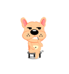 French Bulldog - (Shi Tazi Phi)(Chinese)（個別スタンプ：13）