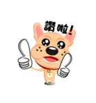 French Bulldog - (Shi Tazi Phi)(Chinese)（個別スタンプ：20）